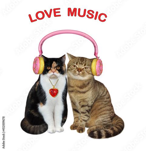 Cats in love wearing earphones are listening to music together. White background. Isolated.