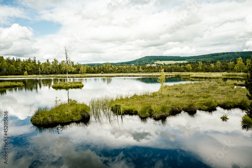 Chalupska moor path. Chalupska moor in summer, Sumava, National Park, Czech Republic. Travel destination. South Bohemia landscape photo