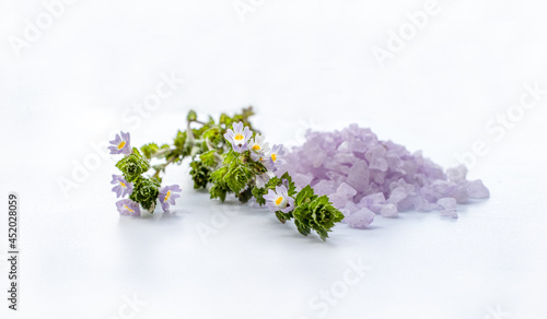 Liilac flowers of eyebright (Euphrasia) and aromatic bath salt. Natural ingridients use for alternative medicine, healthy cosmetics concept.