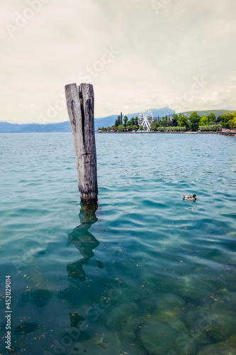 Wooden Pole in Lake Garda with Mountain in Background