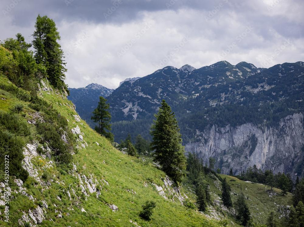Typical panoramic view in the Austrian Alps with mountains and fir trees - Mount Loser Altaussee - travel photography Typical panoramic view in the Austrian Alps with mountains and fir trees - Mount Loser Altaussee - travel photography