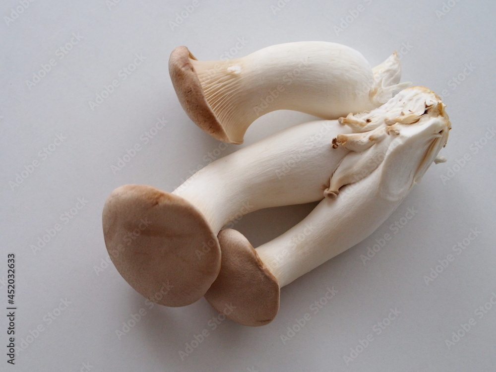 Fototapeta premium 白いテーブルに置かれたエリンギ