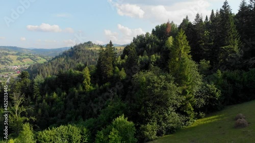 Bird's eye view of beautiful green spruce forest. Aerial shot. Summer sunshine day.