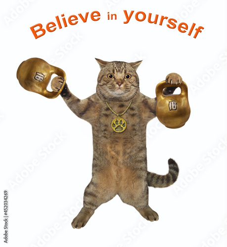 A beige cat athlete lifts golden kettlebells. Believe in yourself. White background. Isolated. © iridi66