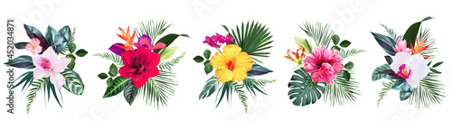 Exotic tropical flowers, orchid, strelitzia, hibiscus, bougainvillea, gloriosa, palm, monstera