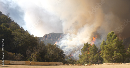Fotografie Woolsey Fire, Malibu California Post fire Burnt Mountains