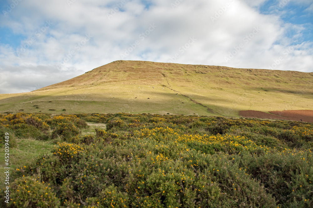 Brecon beacons in the Autumn. Brecon beacons in the Autumn.