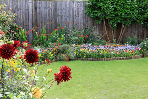 Fototapeta Naklejka Na Ścianę i Meble -  flowers in a garden