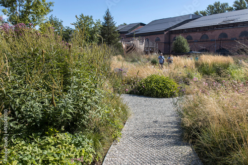 Herb garden at the New Holland Island