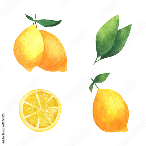 Watercolor set of ripe lemons. Fresh lemons on a branch with leaves.