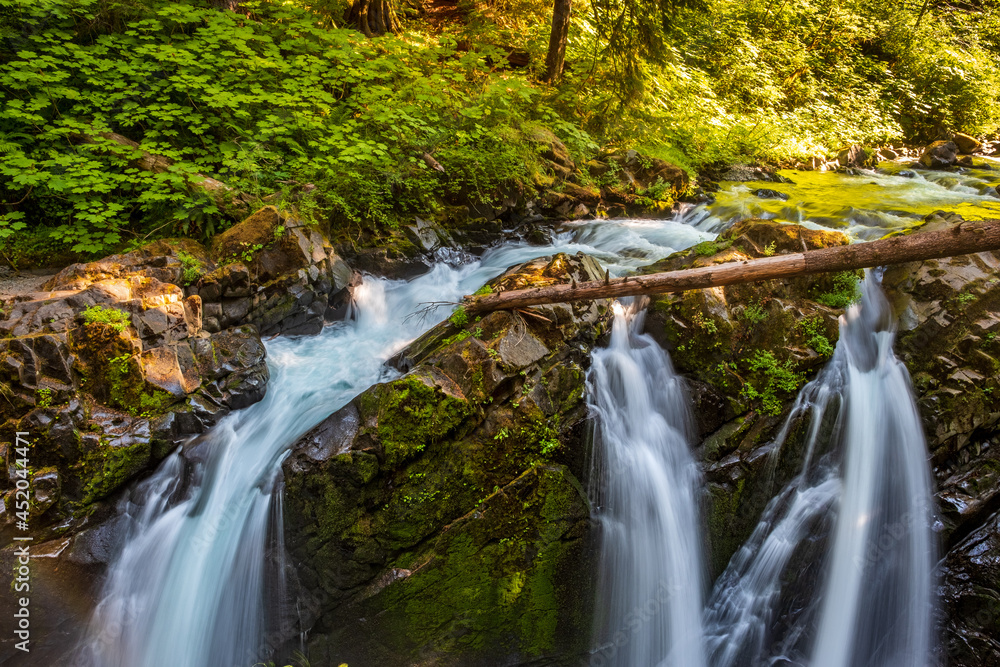 Moss covered trees and waterfalls abound on trails through the forest Moss covered trees and waterfalls abound on trails through the forest