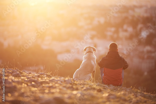 Rear view of young man with dog at sunrise. Pet owner sitting with his dog on hill against city.