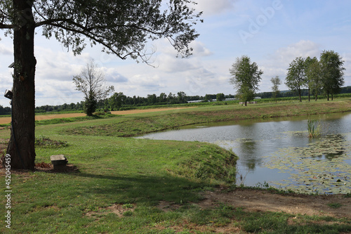 landscape with river and trees