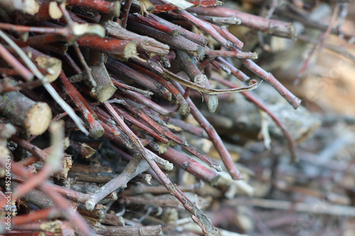 Side view of wood stacked branches