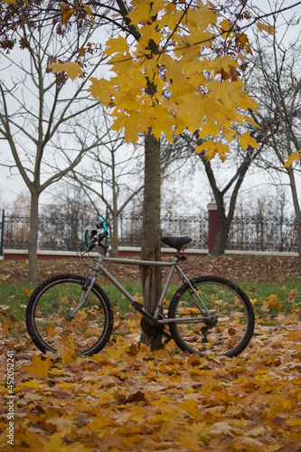 Mountain bike in the autumn park. Around the yellow autumn leaves.