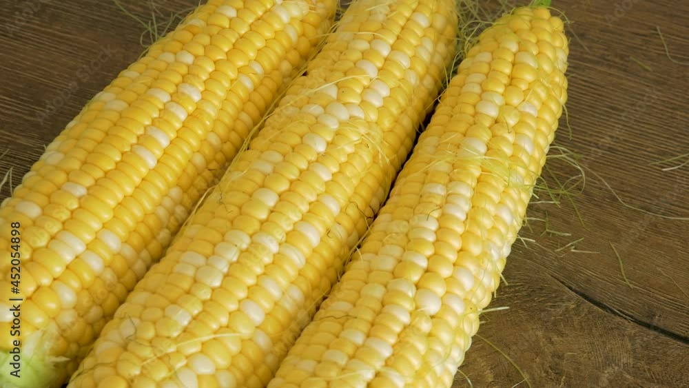 fresh corn cobs close-up. Food background fresh corn cobs close-up. Food background
