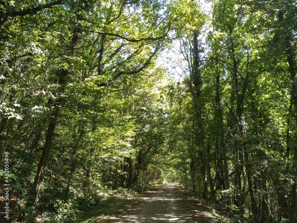 Forêts et champs de Meurthe et Moselle