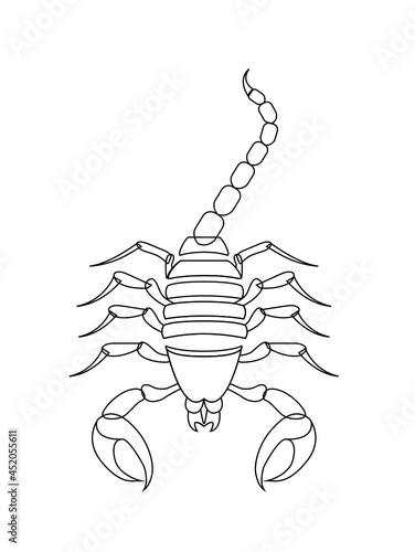 Skorpion