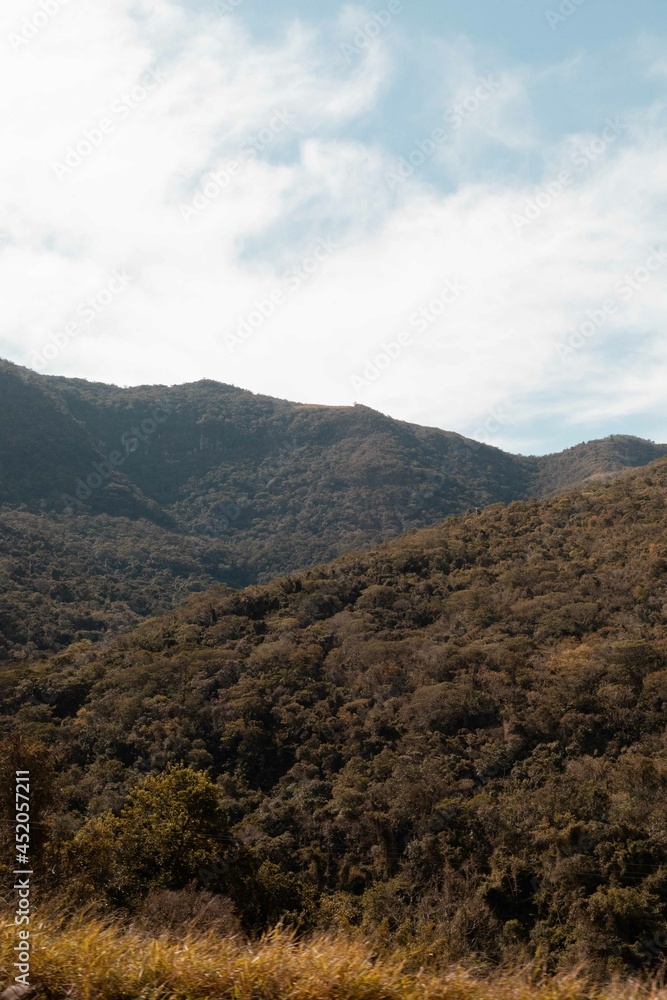 green mountains