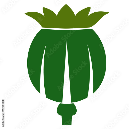 Photos Opium poppy head icon with flat style
