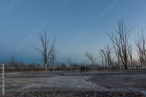 Wallpaper Mural Epecuen Ruins Torontodigital.ca