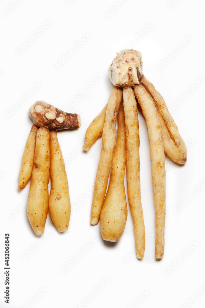 Close-up Krachai (finger root) Thai herbs to prevent COVID-19 on white background. Close-up Krachai (finger root) Thai herbs to prevent COVID-19 on white background.