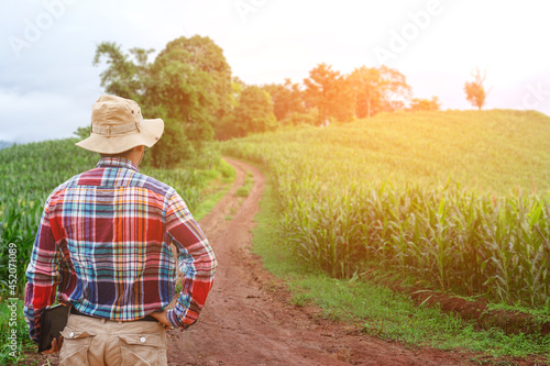 Young farmer holding tablet examining crop in corn field.Seasonal agricultural worker