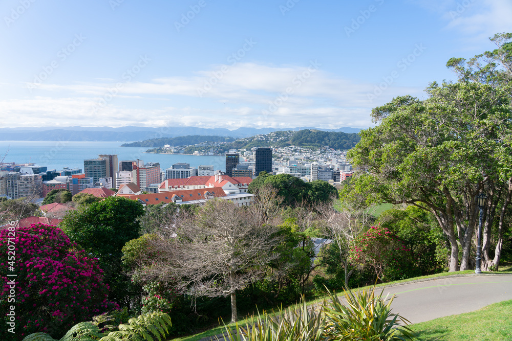 Outlook from observatory hill in botanic gardens over Wellington city, harbor and distant Oriental Bay suburb.