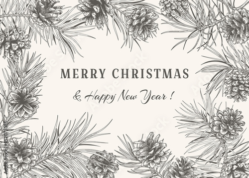 Christmas card with pine branches and cones. Black pattern on White background.