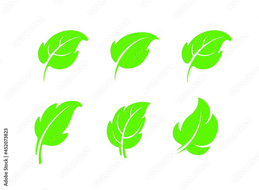 Green leaf icons, symbols, logo and graphic elements set isolated on white background. Vector template for natural, organic, bio, eco label and shape.