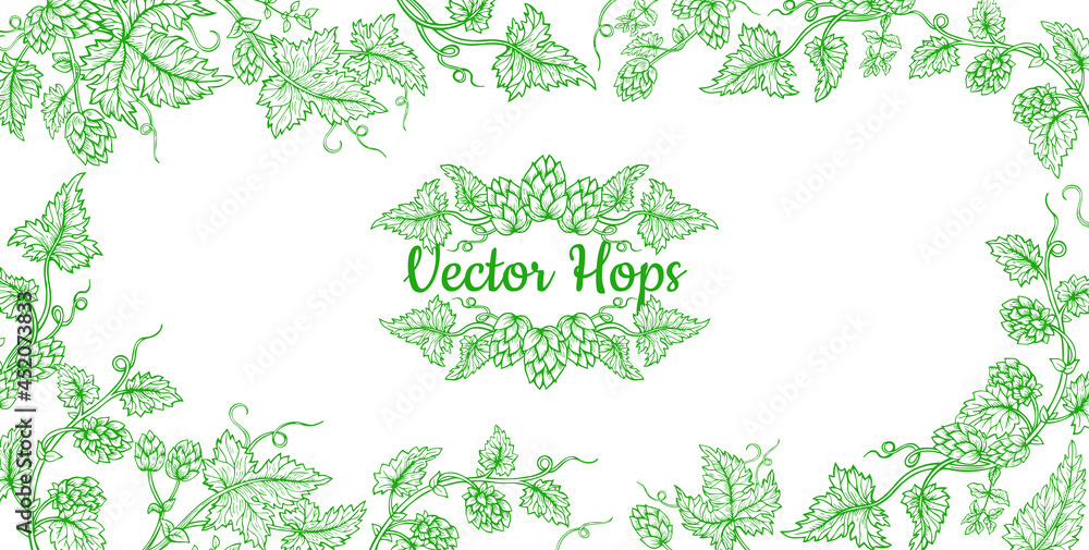 Hop plant branch sketch frame. Sketches for beer packing design, label. Exotic botanical decoration hand drawn. Hops with leaves and cones angular herb event invitation card template, editable vector