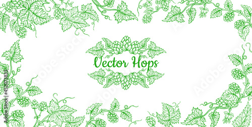 Hop plant branch sketch frame. Sketches for beer packing design, label. Exotic botanical decoration hand drawn. Hops with leaves and cones angular herb event invitation card template, editable vector