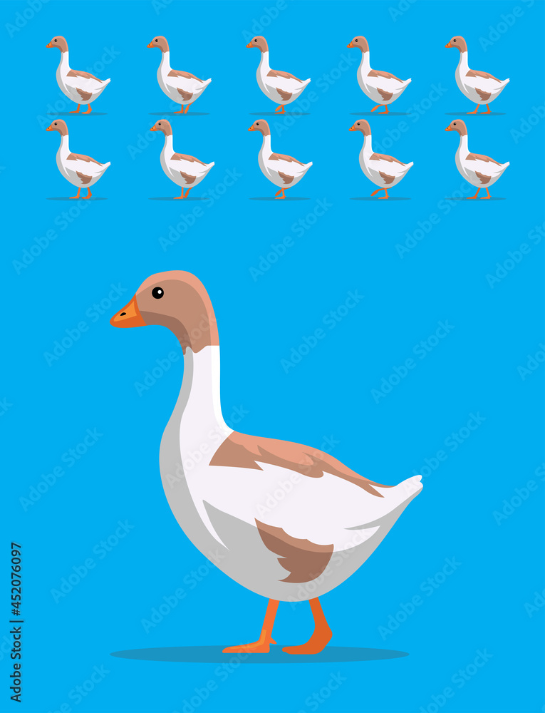 Obraz premium Animal Animation Sequence Buff Goose Cartoon Vector