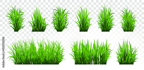 Fresh green grass: natural, organic, bio, eco label and shape isolated on white background. Vector illustration.