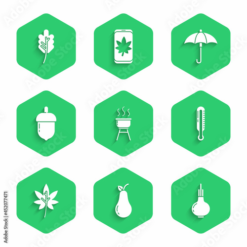 Set Barbecue grill, Pear, Onion, Meteorology thermometer, Leaf leaves, Acorn, Umbrella and icon. Vector