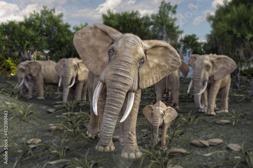 アフリカゾウの群れが仔象を連れて移動する © iARTS_stock