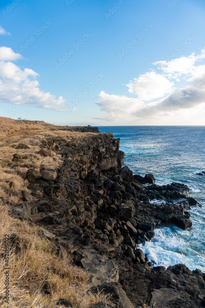 Black rock cliffs overlooking the ocean
