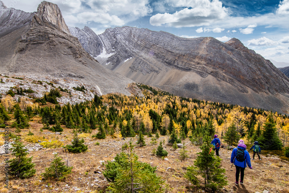 A hiking family looking over larch trees in fall colours at Arethusa Cirque in the Canadian Rockies.