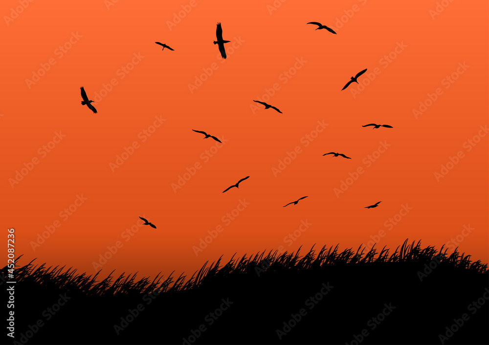 graphics design grass on ground and bird on the sky with silhouette for background vector illustration graphics design grass on ground and bird on the sky with silhouette for background vector illustration