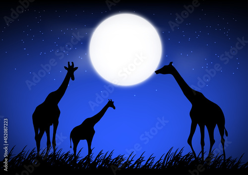 giraffe stan on the grass at the forest with moon background at night time graphics design vector illustration