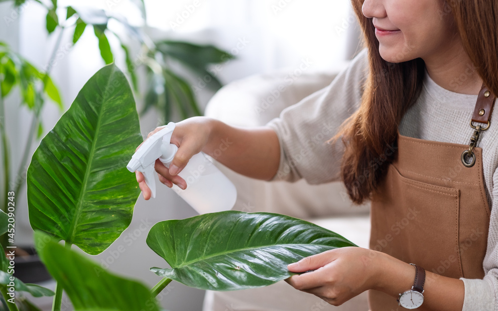 Obraz premium A beautiful young asian woman taking care and watering houseplants by spray bottle at home