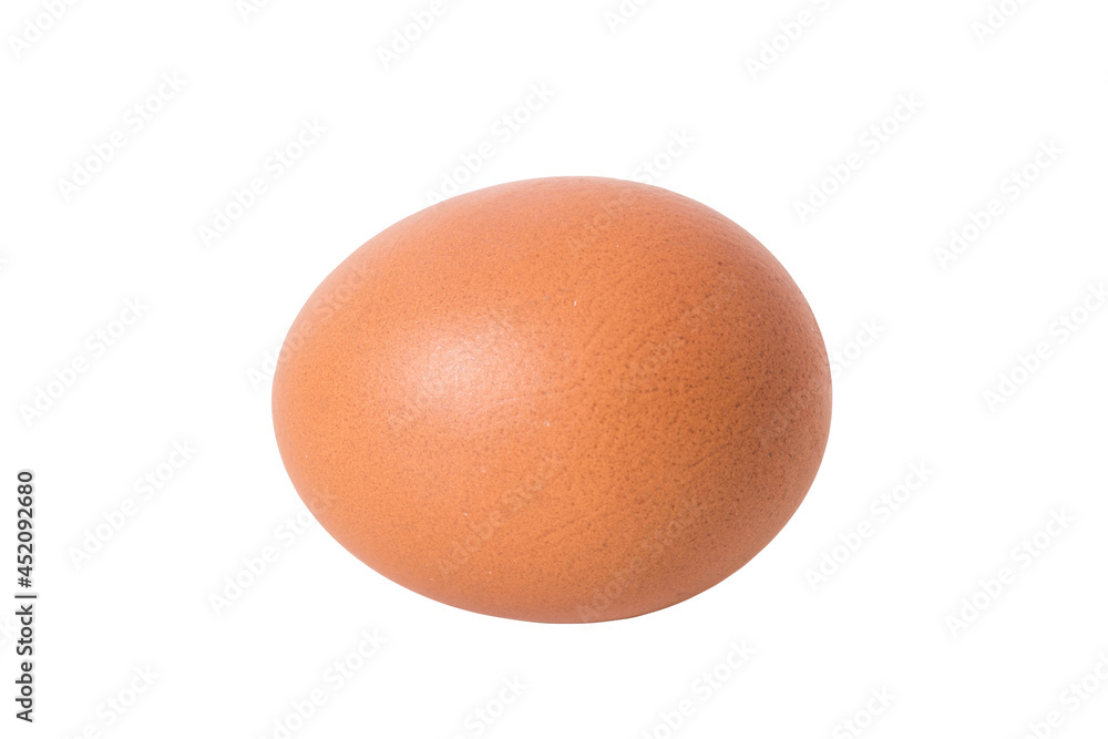 egg isolated include clipping path on white background egg isolated include clipping path on white background