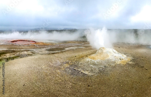 Geyser steams in the geothermal volcanic desert zone Hveravellir. Iceland