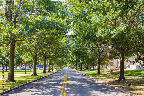 Beautiful landscape around The University of Oklahoma photo
