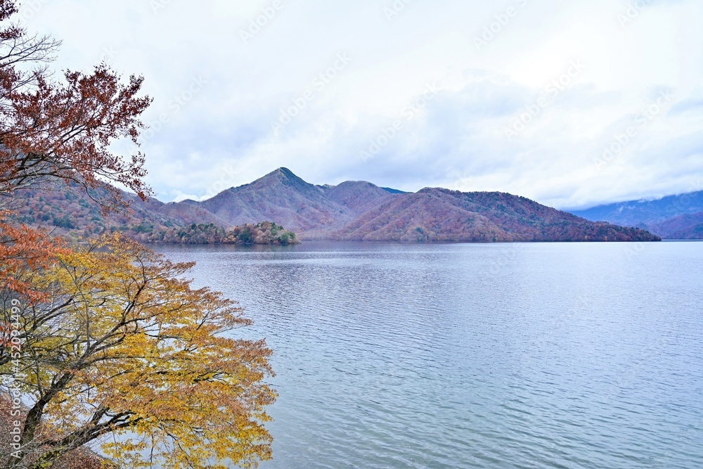 湖岸から見たカラフルな紅葉と中禅寺湖のコラボ情景＠栃木