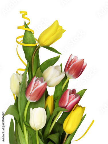 Colorful tulip flowers and ...