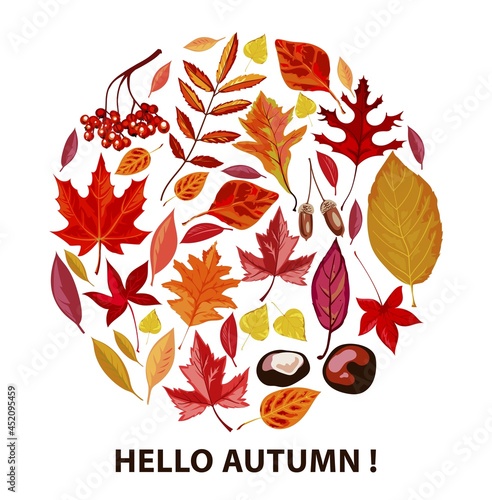 Hello autumn, poster with dry leaves and foliage