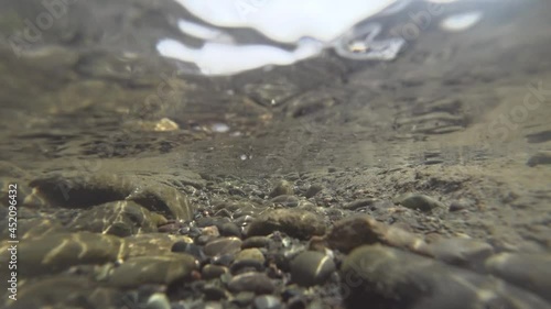 underwater world of a mountain river in the summer