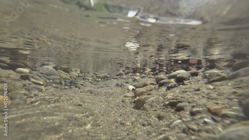 underwater world of a mountain river in the summer