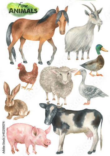 Farm animals set